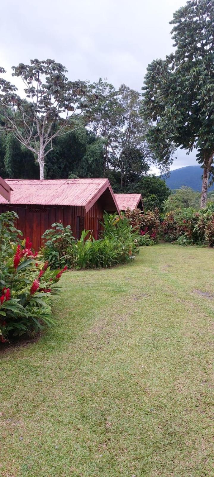 Cabinas La Catarata ラ・フォルトゥナ エクステリア 写真