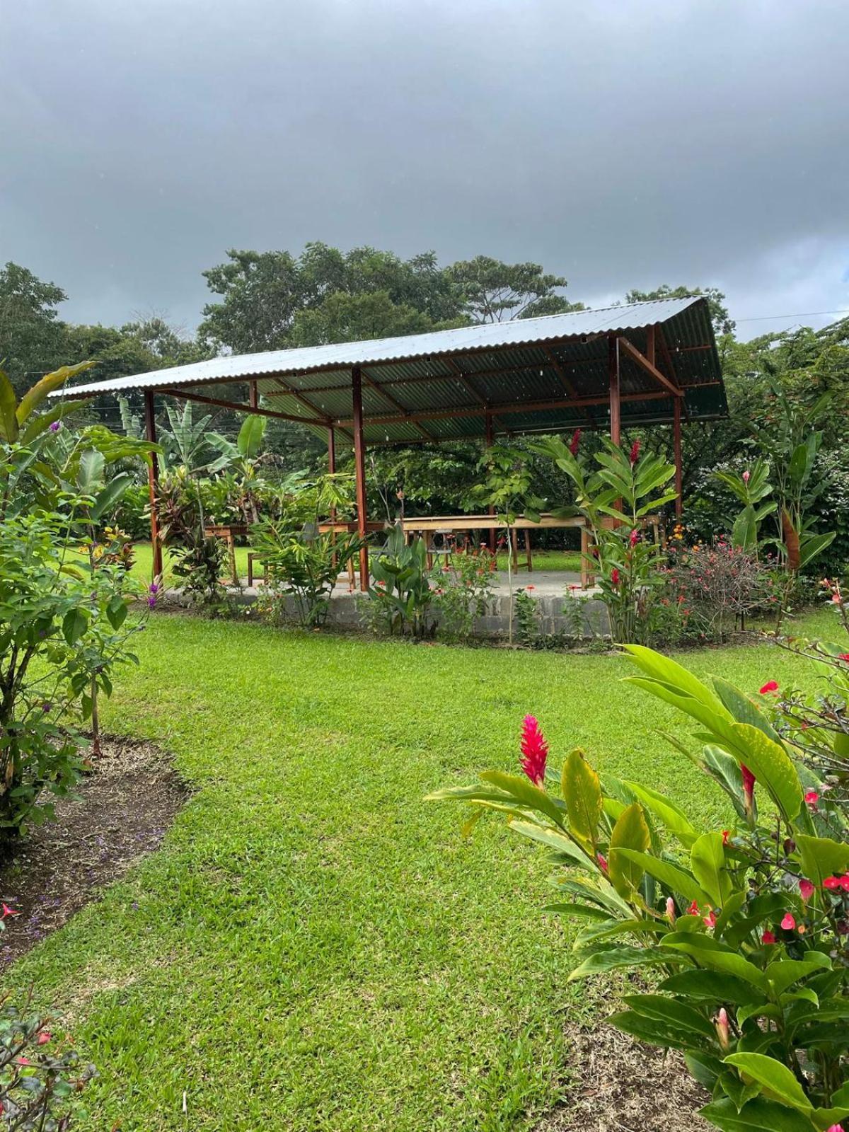 Cabinas La Catarata ラ・フォルトゥナ エクステリア 写真